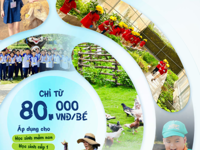 Trải nghiệm miền Tây sông nước dành cho các bé yêu!