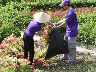 Green Day – hoạt động dọn dẹp vệ sinh, trồng cây xanh