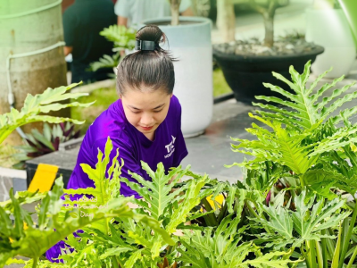 Green Day – hoạt động dọn dẹp vệ sinh, trồng cây xanh