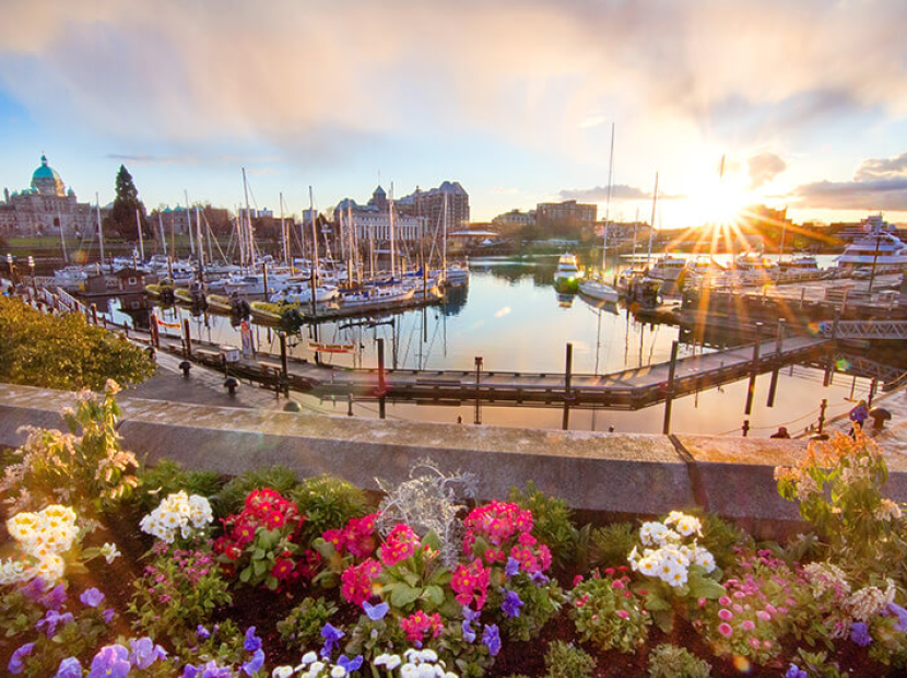 DU LỊCH BỜ TÂY CANADA | VANCOUVER - WHISTLER