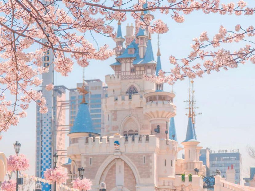 HÀN QUỐC MÙA HOA ANH ĐÀO | SEOUL - NAMI - STARFIELD - LOTTE WORLD - EWHA