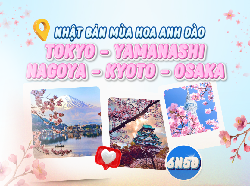 NHẬT BẢN MÙA HOA ANH ĐÀO | TOKYO - YAMANASHI - NAGOYA - KYOTO - OSAKA