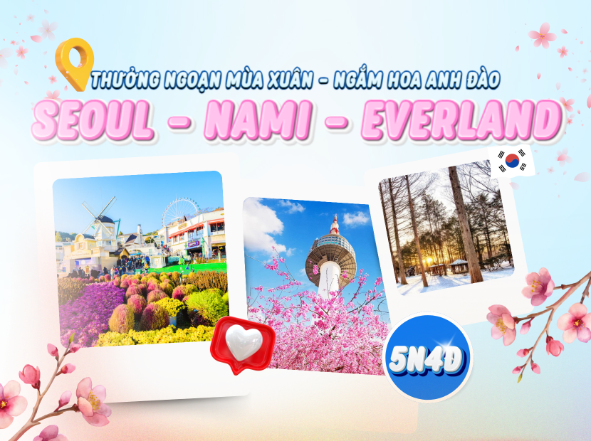 MÙA XUÂN HÀN QUỐC - NGẮM HOA ANH ĐÀO | SEOUL - NAMI - EVERLAND