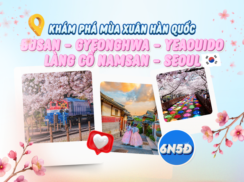 MÙA XUÂN HÀN QUỐC | BUSAN - SEOUL - LÀNG CỔ NAMSAN - CÔNG VIÊN YEOUIDO