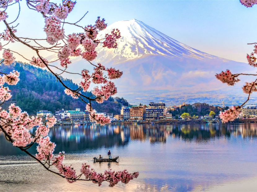 NHẬT BẢN MÙA HOA ANH ĐÀO | TOKYO - YAMANASHI - NAGOYA - KYOTO - OSAKA