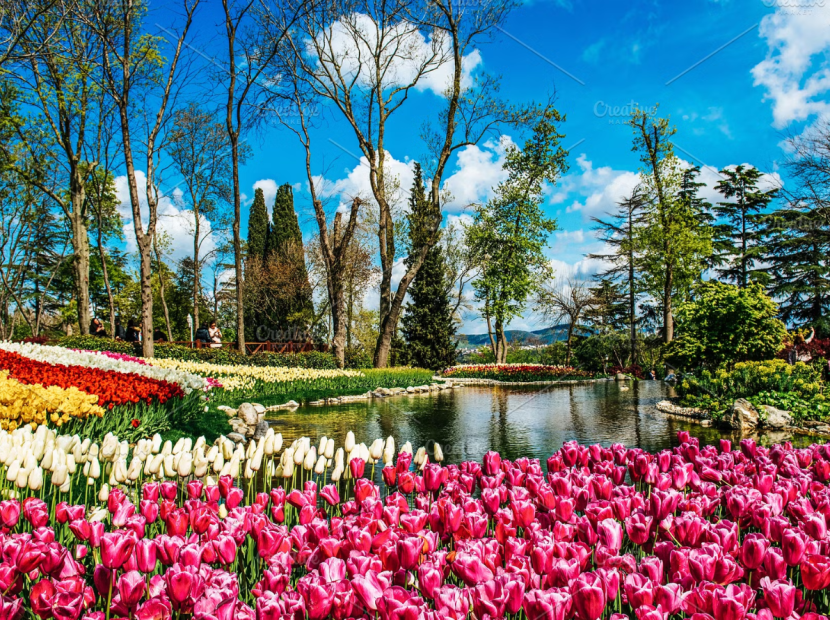 KHÁM PHÁ XỨ SỞ DIỆU KỲ | ISTANBUL - BURSA - KUSADASI - PAMUKKALE - CAPPADOCIA