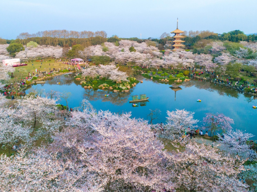 DU XUÂN TRUNG HOA | VŨ HÁN - KHAI PHONG - LẠC DƯƠNG - TÂY AN