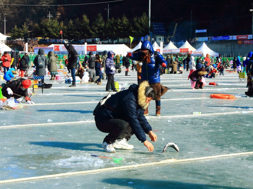 DU XUÂN HÀN QUỐC | SEOUL - NAMI - LOTTE WORLD - TRƯỢT TUYẾT ELYSIAN - CÂU CÁ TRÊN BĂNG 