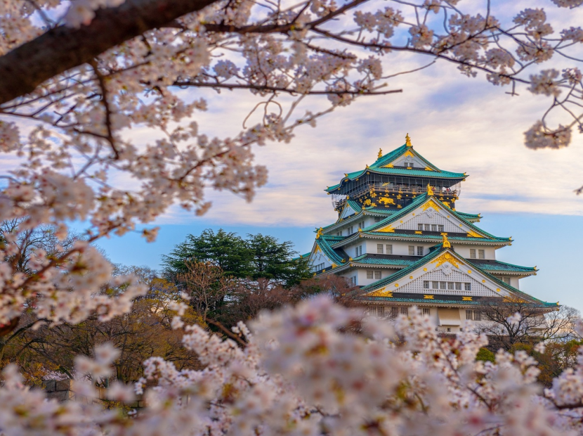 NHẬT BẢN MÙA HOA ANH ĐÀO | TOKYO - YAMANASHI - NAGOYA - KYOTO - OSAKA