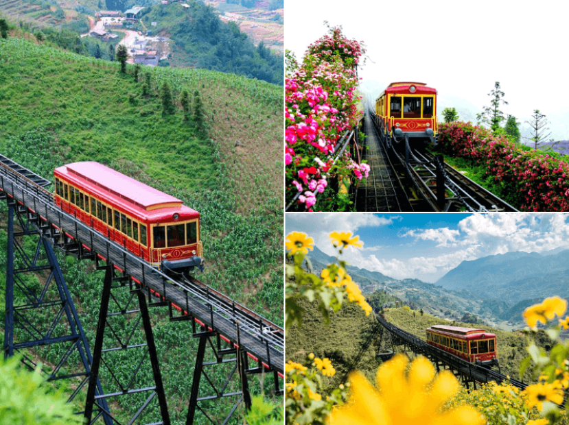 DU XUÂN BẮC BỘ | HÀ NỘI - NINH BÌNH - HẠ LONG - SA PA