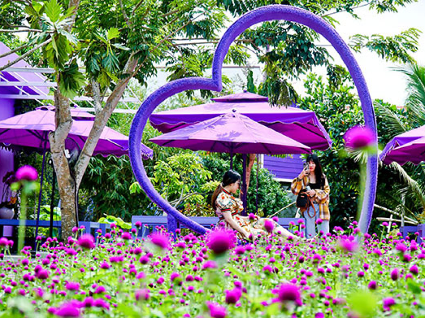 RỪNG TRÀM TRÀ SƯ – CẦN THƠ VIẾNG MIẾU BÀ CHÚA XỨ- KHÁM PHÁ CHỢ NỔI CÁI RĂNG