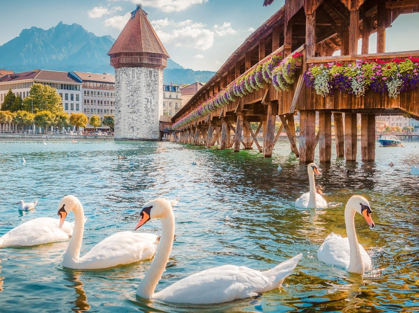 KHÁM PHÁ CHÂU ÂU | Ý - THỤY SỸ - PHÁP - BỈ - HÀ LAN - ĐỨC