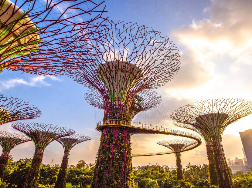 DU XUÂN BÍNH NGỌ SIN - MAL 5N4Đ