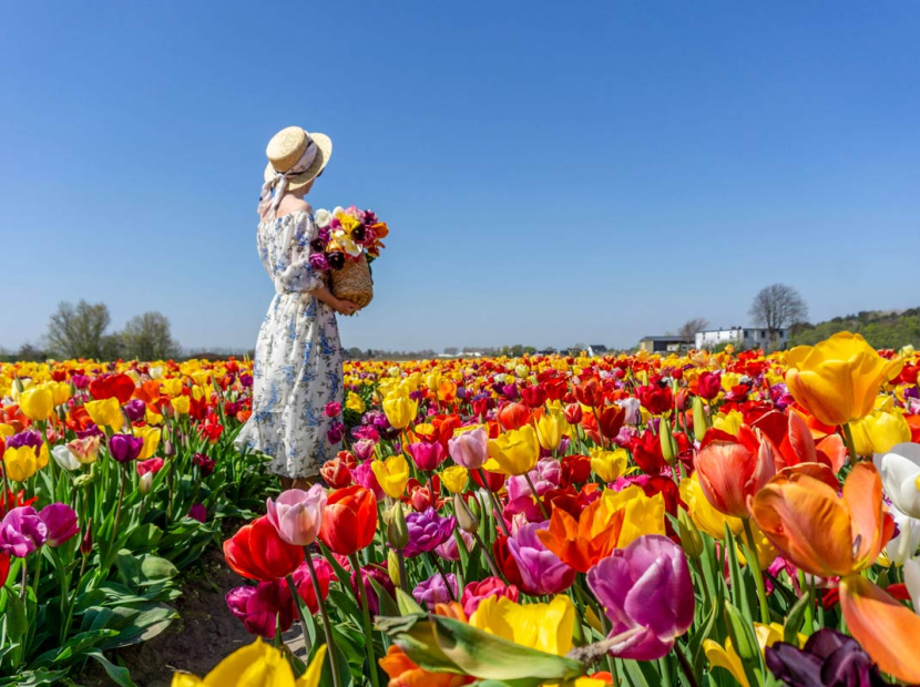 KHÁM PHÁ CHÂU ÂU | Ý - THỤY SỸ - PHÁP - BỈ - HÀ LAN - ĐỨC