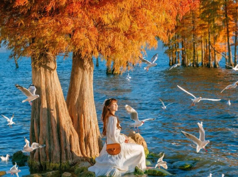 KHÁM PHÁ TRUNG HOA | ĐẠI LÝ - LỆ GIANG - SHANGRILA NO SHOPPING