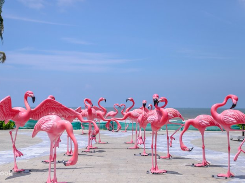 CHẠM SÓNG HỒ TRÀM - THƯ GIÃN MINERA HOT SPIRINGS