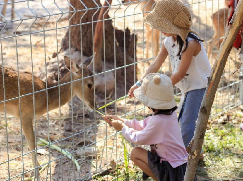 CHẠM SÓNG HỒ TRÀM - THƯ GIÃN MINERA HOT SPIRINGS