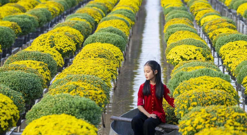 DU XUÂN LÀNG HOA ĐỒNG THÁP - 1 ngày | 990.000đ/ khách